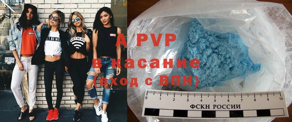 PSILOCYBIN Лабытнанги