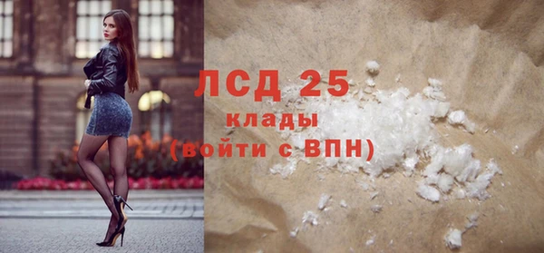 прущие грибы Елизово