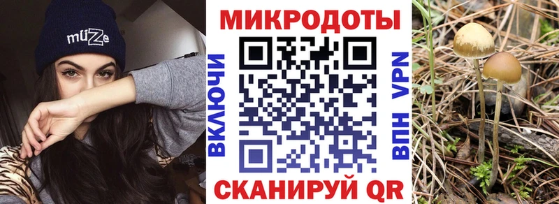 Псилоцибиновые грибы Magic Shrooms  Каменск-Шахтинский 