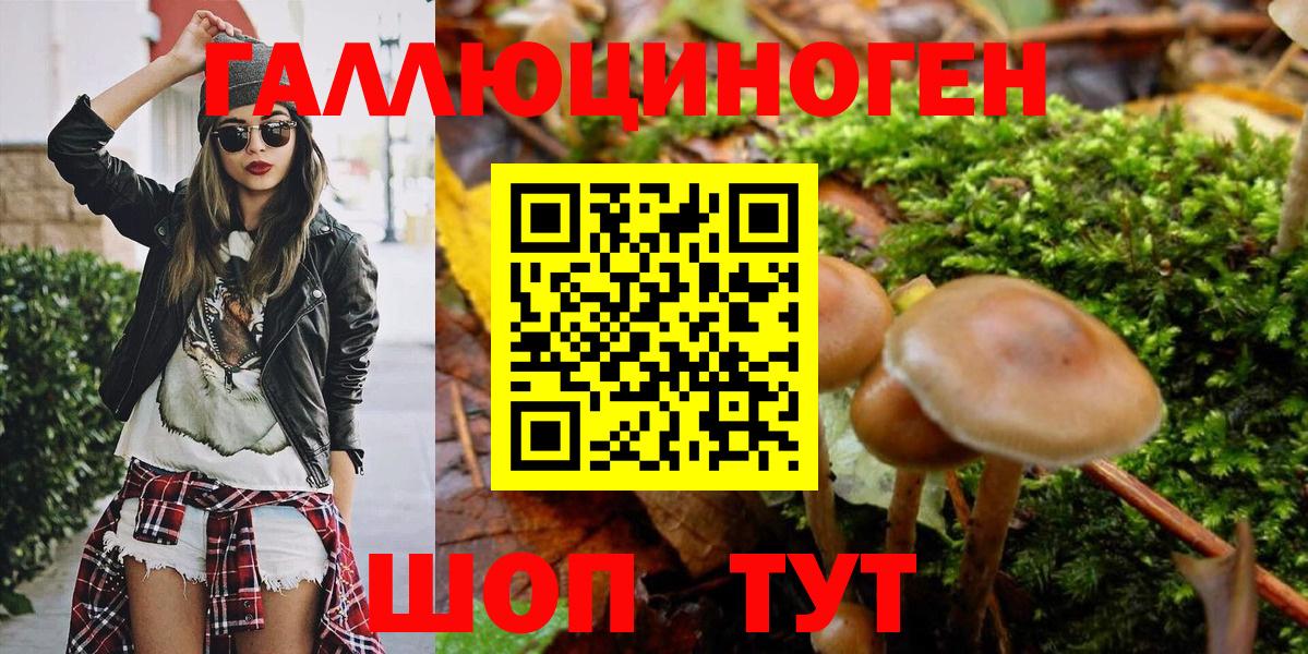 Псилоцибиновые грибы MAGIC MUSHROOMS  Вход с VPN  Каменск-Шахтинский 