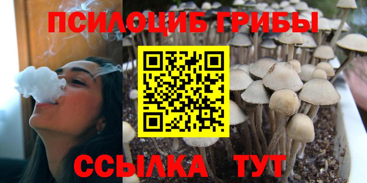 Галлюциногенные грибы ЛСД Каменск-Шахтинский